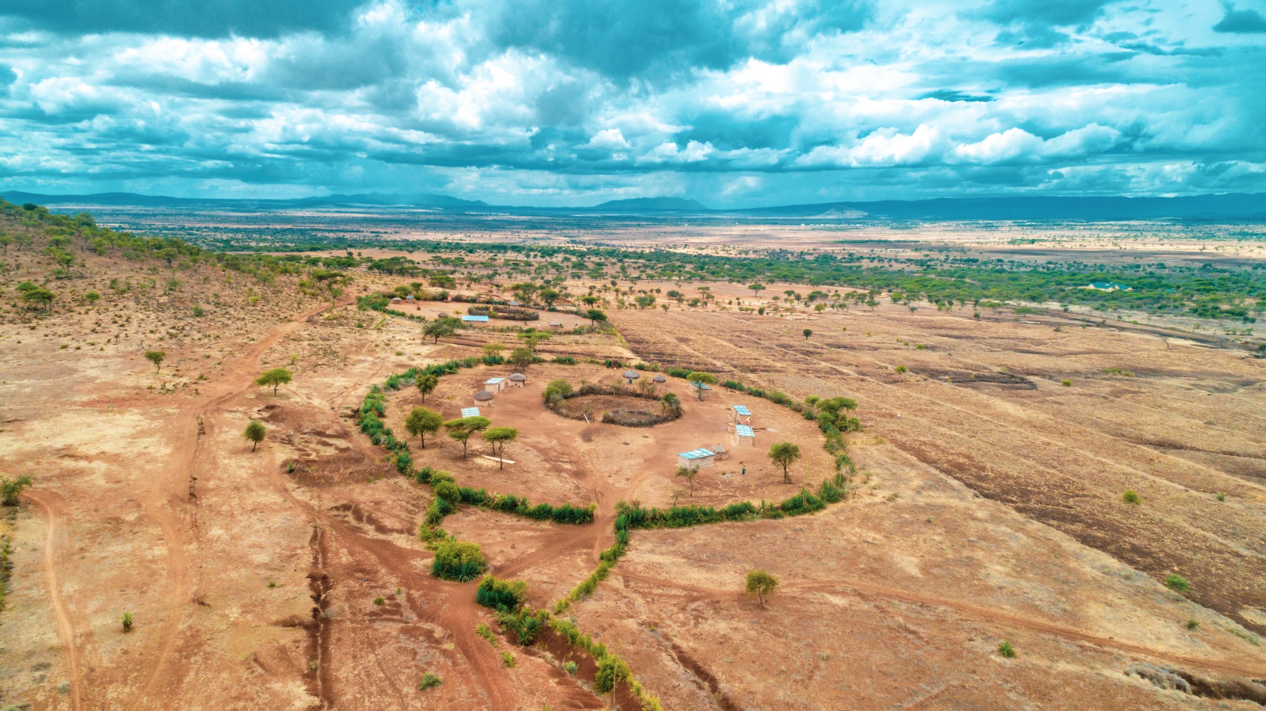 Arid and Semi-Arid Land (ASAL) Reforestation